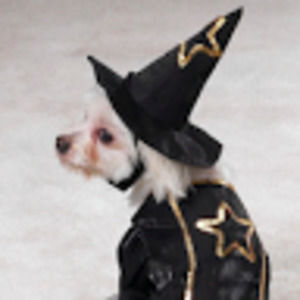 Meet your Posher, Judith